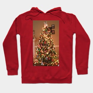 Christmas Tree Light Hoodie